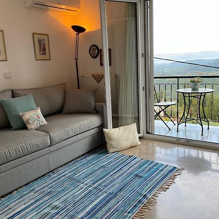 Schoenes Familienappartement In Pelekas, Corfu Mit Meerblick Exterior photo